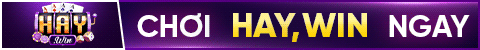 top banner